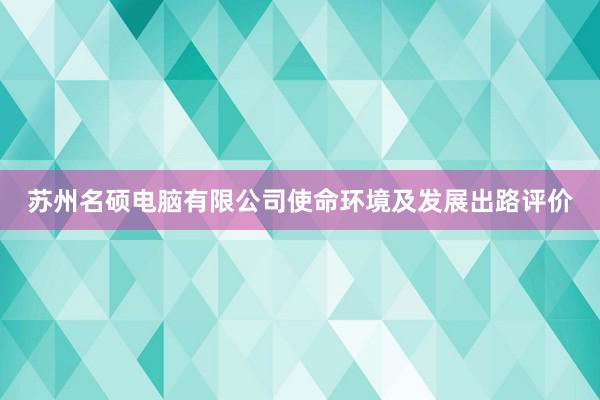 苏州名硕电脑有限公司使命环境及发展出路评价